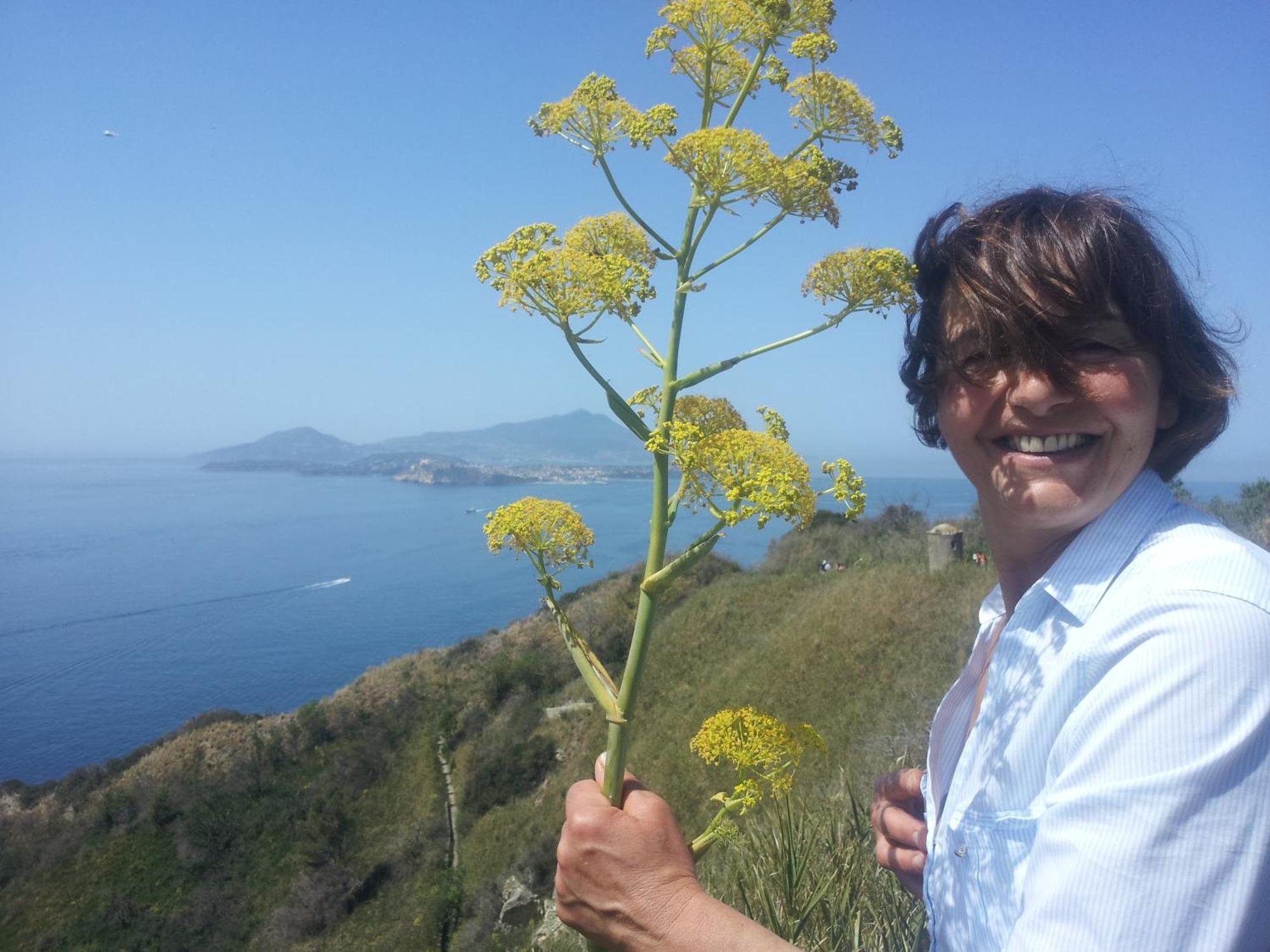 Mary'S Dream - Villa Overlooking Capri And Ischia In Sorrento Peninsula Massa Lubrense Buitenkant foto